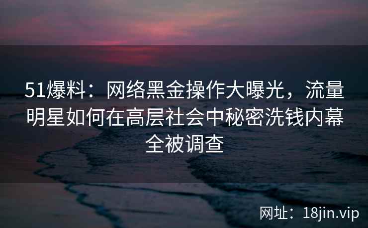 51爆料：网络黑金操作大曝光，流量明星如何在高层社会中秘密洗钱内幕全被调查