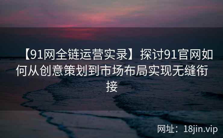 【91网全链运营实录】探讨91官网如何从创意策划到市场布局实现无缝衔接