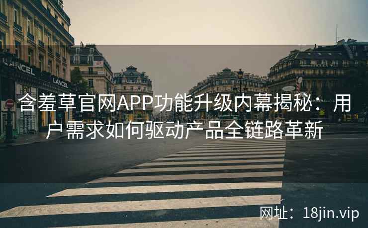 含羞草官网APP功能升级内幕揭秘：用户需求如何驱动产品全链路革新