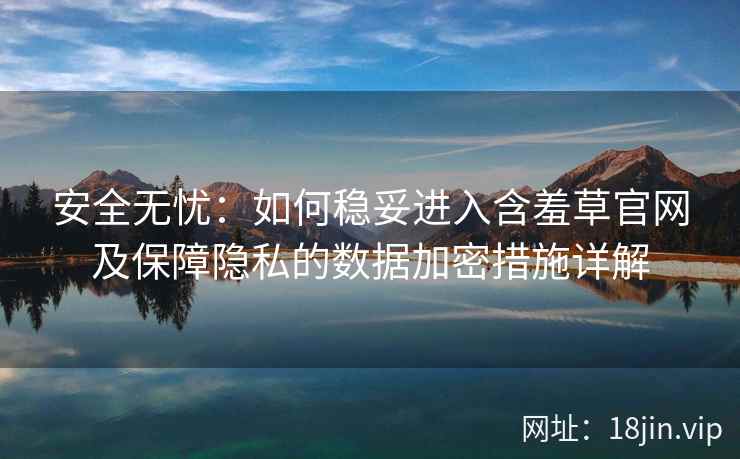 安全无忧：如何稳妥进入含羞草官网及保障隐私的数据加密措施详解