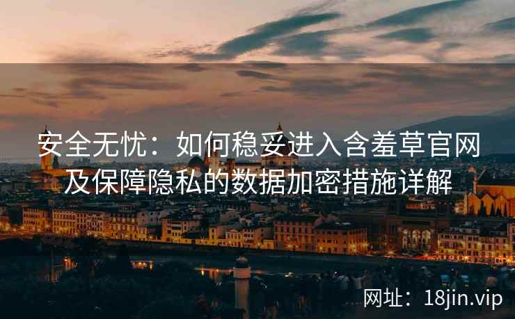 安全无忧：如何稳妥进入含羞草官网及保障隐私的数据加密措施详解