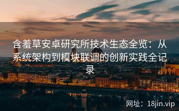 含羞草安卓研究所技术生态全览：从系统架构到模块联调的创新实践全记录